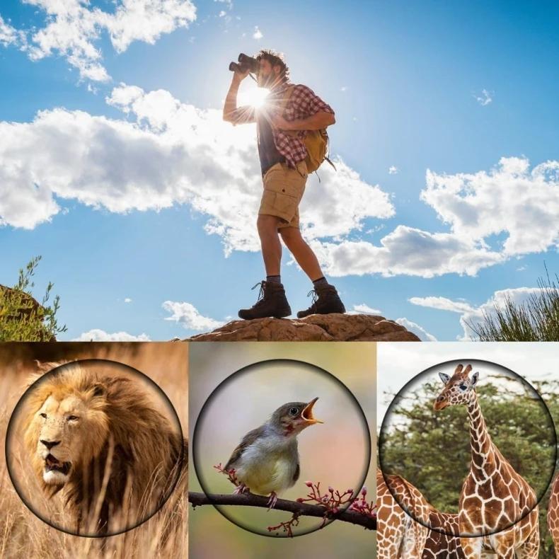 High Definition Monocular Telescope For Outdoor Bird Viewing - 16X52 Green Film - 16X52 Without Bag