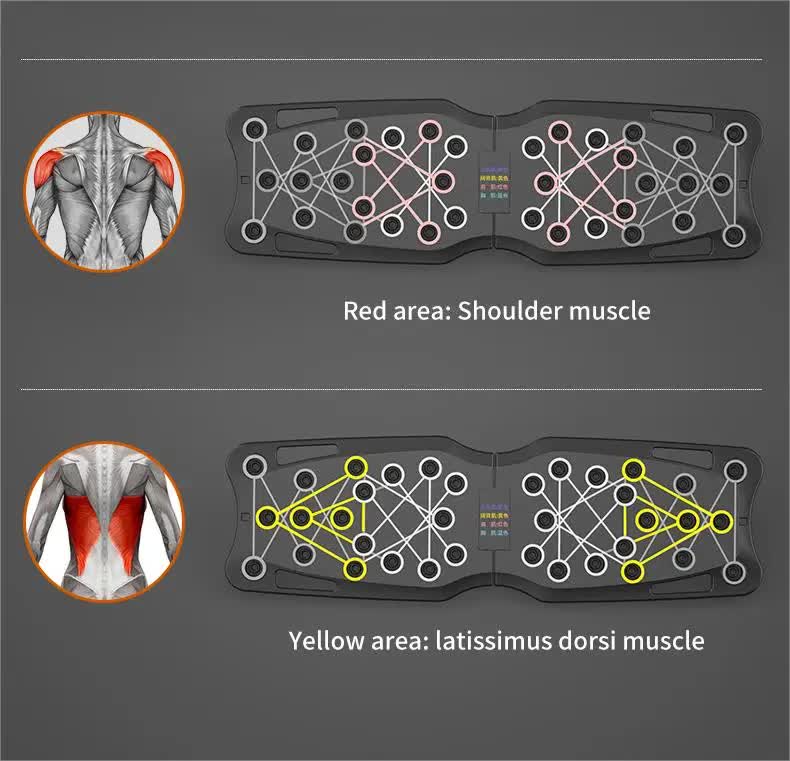 Black Portable Anti-Slip Multi-Function Push-Up Bar with Resistance Bands - Home Fitness Equipment