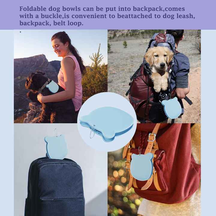 Grey Portable Collapsible Pet Bowl Set - Food-Grade Silicone Double Bowl for Dogs & Cats, Anti-Slip & Easy to Clean