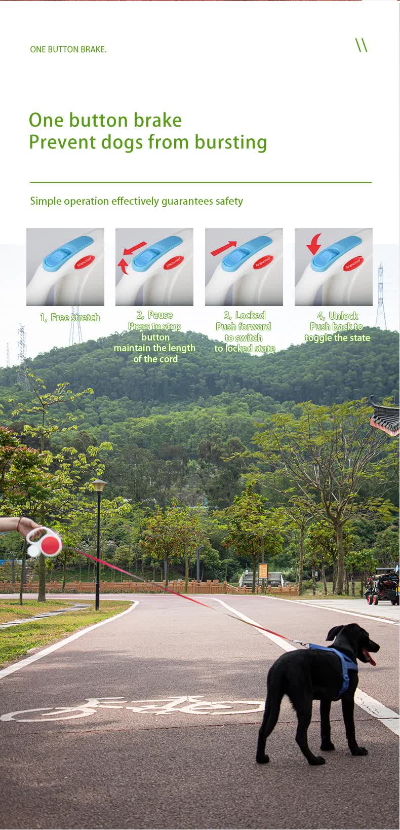 White 5M Retractable Dog Leash - With Small Box, Suitable For Small And Medium Dogs