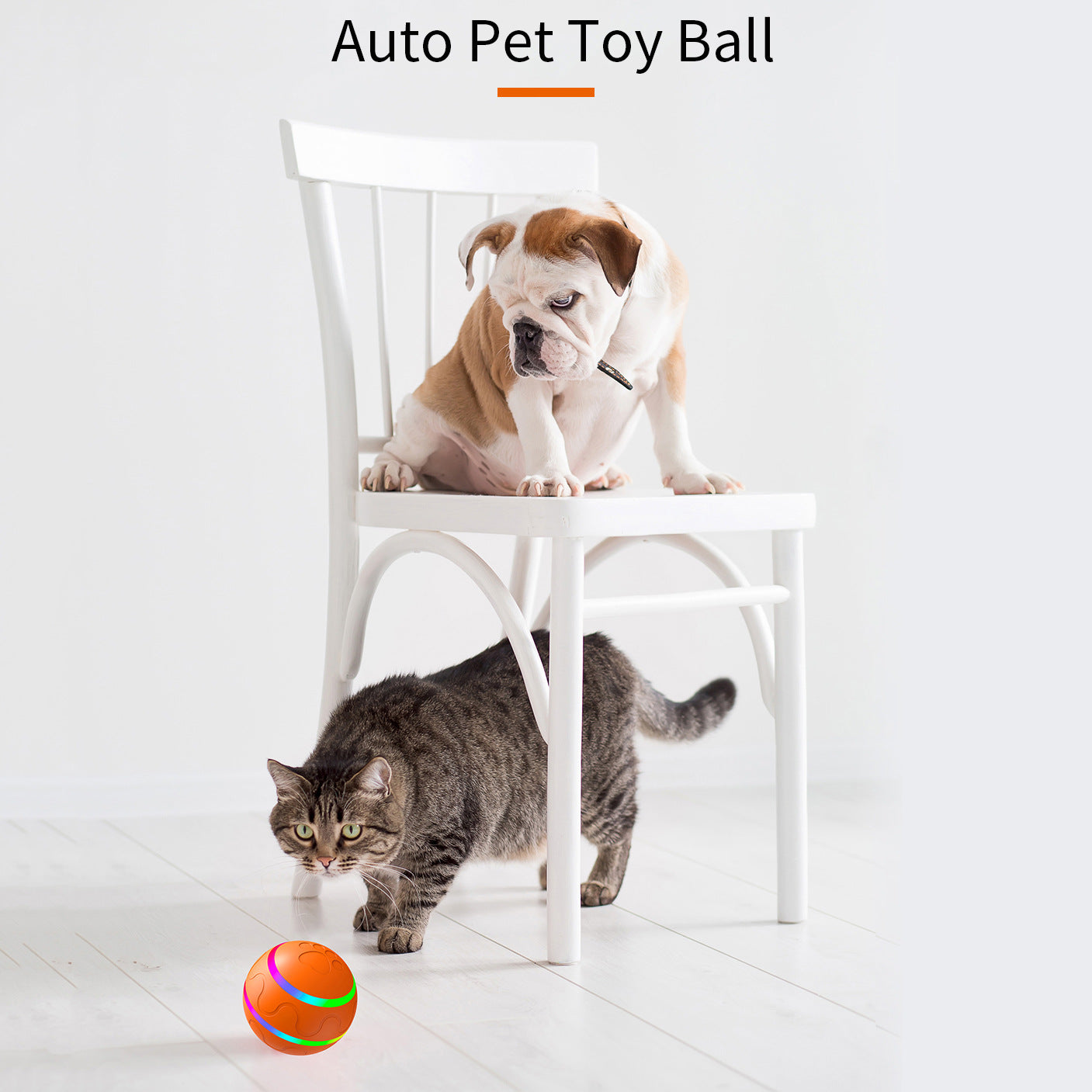 Interactive Auto Pet Toy Ball with Remote Control - USB Rechargeable, LED Lights, Sturdy & Waterproof(orange)