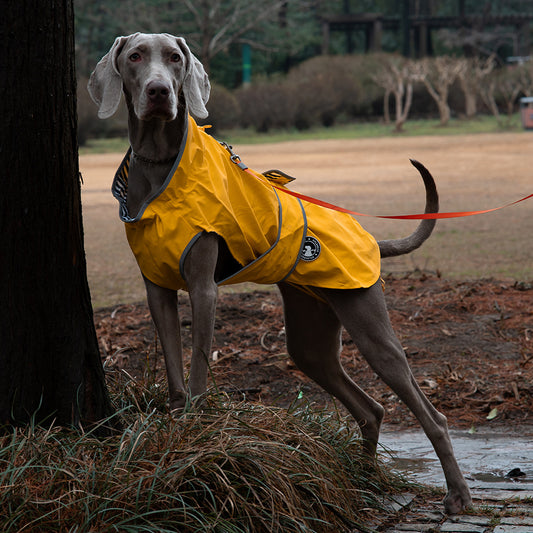 45# Yellow Waterproof Reflective Dog Raincoat for Small to Large Dogs