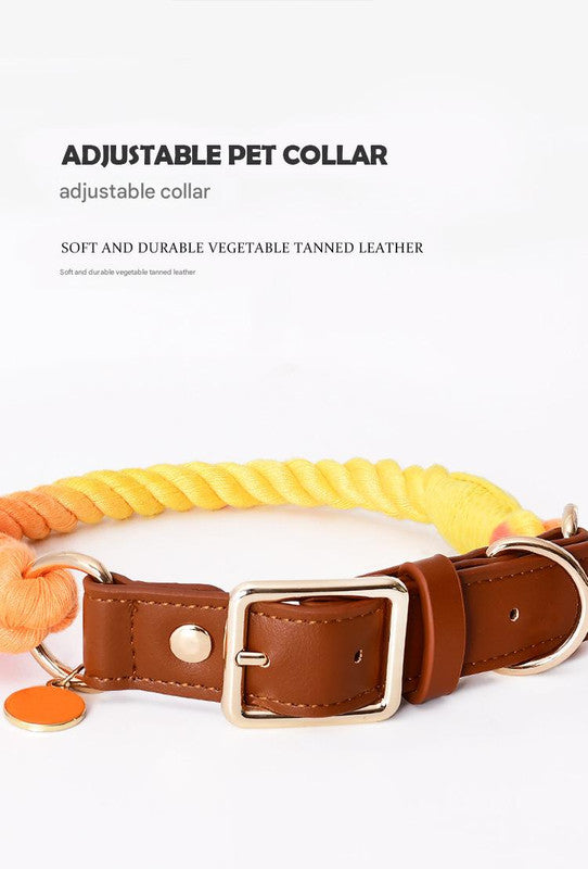 Premium Leather Pet Collar and Leash - Soft, Strong Braided Rope (Green - Size L)