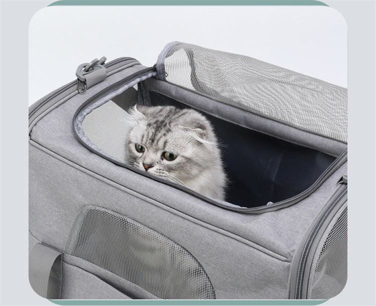 Foldable Soft-Sided Pet Carrier for Travel - Fits Cats & Small Dogs Under 6kg, with Removable Plush Bed & Shoulder Strap(grey)