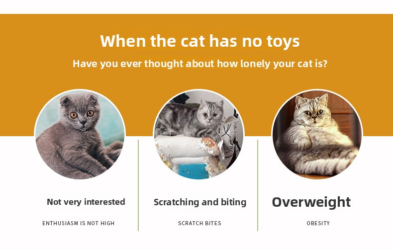 Pet Toy Super Set (21 Pcs) - Cat Tunnel, Teaser, Mice, Jingle Balls, & Pom Poms. (Note: accessory colors are shipped randomly).