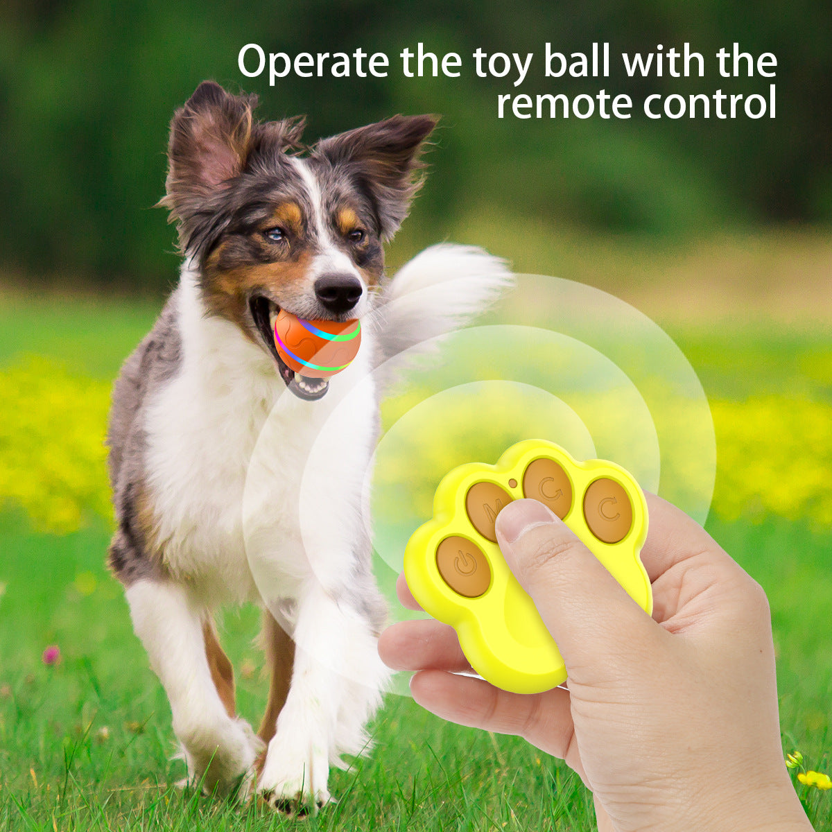 Interactive Auto Pet Toy Ball with Remote Control - USB Rechargeable, LED Lights, Sturdy & Waterproof(pink)