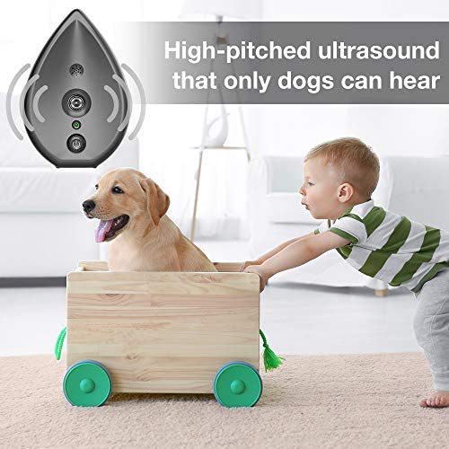 Automatic Ultrasonic Dog Bark Deterrent - Up to 50ft Range, Safe Frequency Conversion, Indoor Use(gold)