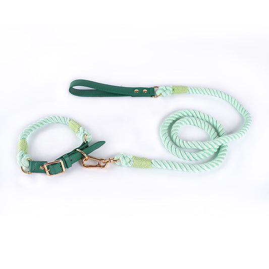Premium Leather Pet Collar and Leash - Soft, Strong Braided Rope (Green - Size M)