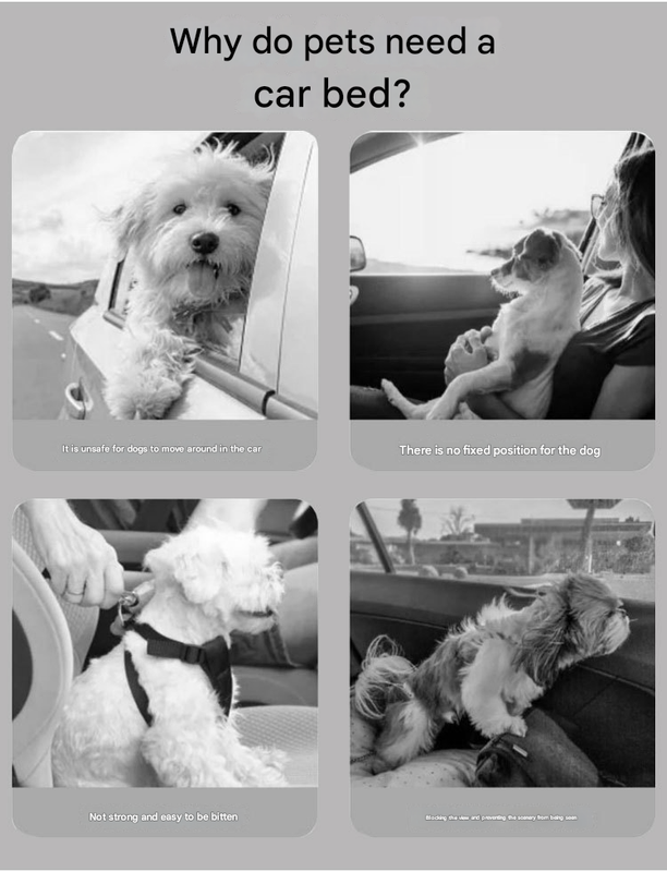 Turquoise Plush Dog Car Booster Seat - 2-in-1 Travel Bed for Small Dogs with Washable Cover